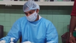 Нипах вирусу: Индиядан эт, жарганат алып келүүгө тыюу салынды 