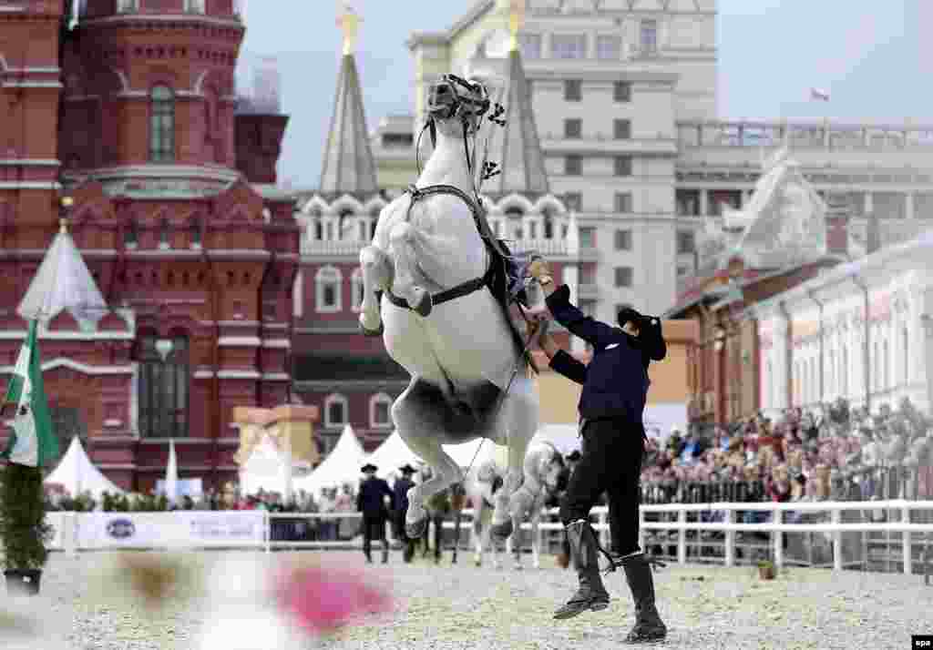 A member of the Spanish Royal Andalusian School of Equestrian Art performs during the International Military Music Festival on Moscow's Red Square. (epa/Maxim Shipenkov)