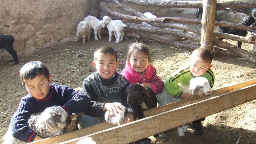 Суреттегі жыныстық камера