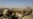 U.S. Air Strikes Reportedly Kill 'Dozens' Of Russian Fighters In Syria