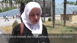 Sizcə, ətin ucuzlaşması üçün nə eləmək lazımdır? [video-sorğu]