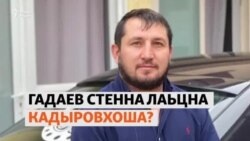 Гадаев стенна лаьцна кадыровхоша?