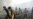 Is Russia Losing the North Caucasus?