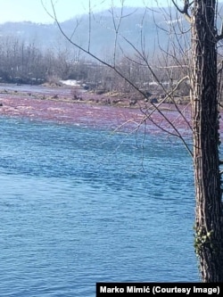 Desna obala rijeke Drine iz Srbije, nasuprot grada Tršića na kojoj je vidljivo zagađenje.