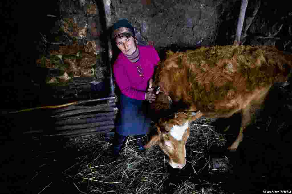 Reyhan xala mal-qaraya qulluq edir.