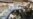 Afghan, Pakistani Troops Reportedly Exchange Gunfire