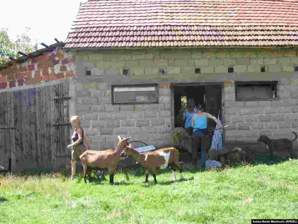 Fotografije: Ankica Barbir Mladinović i arhiv Eko sela Blatu&scaron;a