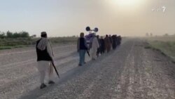 طالبانو د سولي د ولسي حرکت څلور غړي بیولي