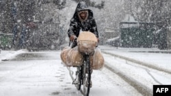 د جنورۍ پر ۲۲مه يو افغان د کابل پر زرغونه ساحه کې په واوره کې پر بايسکل روان دی. 