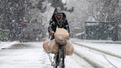 په پلازمېنه کابل کې درنه واوره