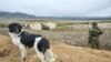 Russia Tells Azerbaijan To Withdraw Troops From Karabakh Village
