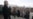 Belarus: As Vote Nears, Regime Thins Out Opposition Ranks