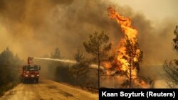 Vendësit dhe turistët ikin nga zjarret masive në Turqi