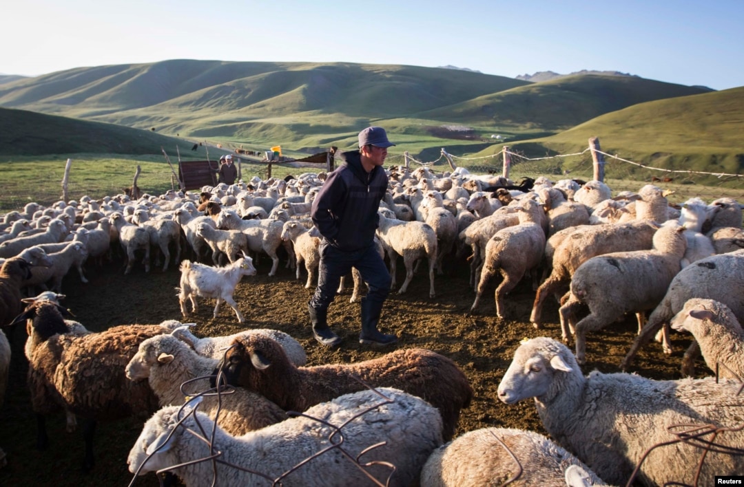 The Daily Life Of Modern Kazakh Nomads