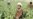 UN Report Shows Afghan Opium Production At Record Level