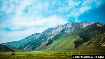 Интернеттегі секс ең үлкен мүшелер