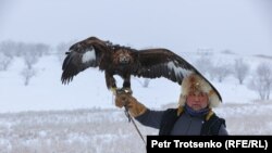 Беркучи - грабливите ловци, които се борят за победата