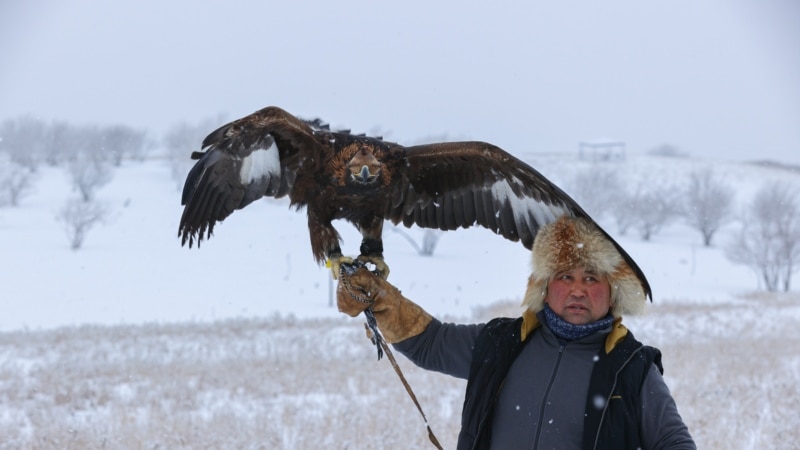 Lov orlovima u Kazahstanu: Tradicija postala sportska grana 