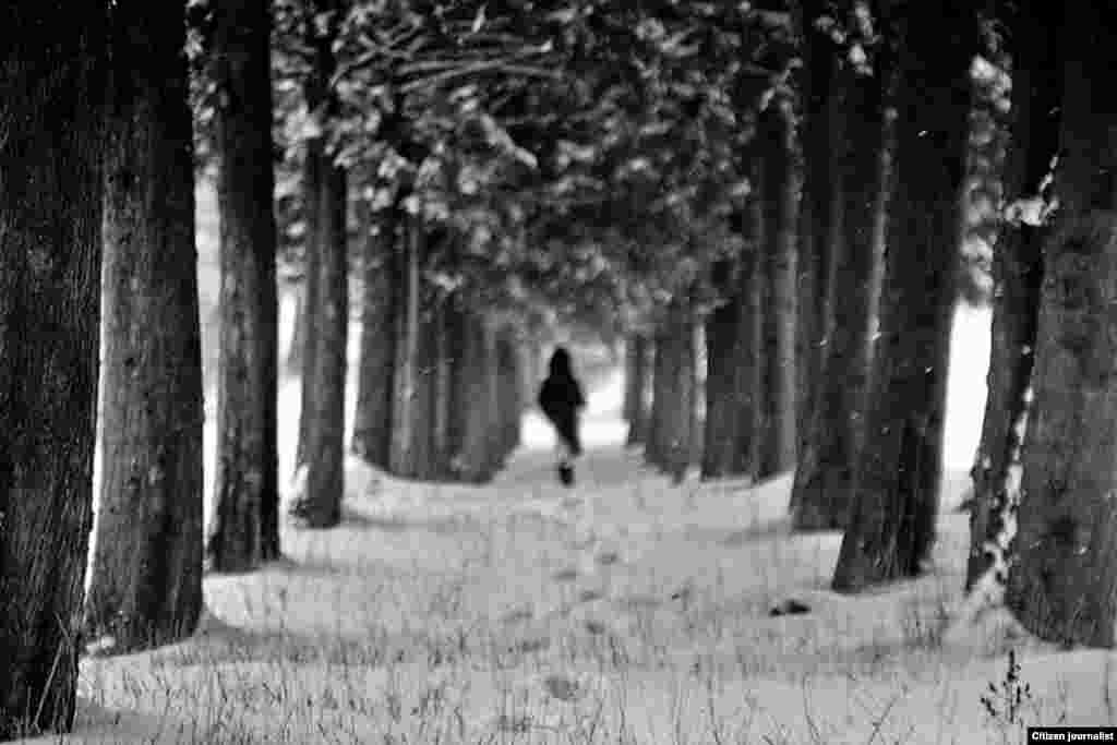 198 ზურა ხარაზიშვილი: უსათაურო