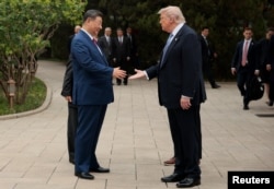 Президент США Дональд Трамп пожимает руку председателю КНР Си Цзиньпину на совместной прогулке в саду Чжуннаньхай в Пекине. 15 мая 2026 года