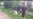Violent Video Draws Messages Of Intolerance On Russian Social Network