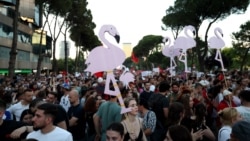 Protesters hold cartoon flamingos as they gather in in Tirana on June 10 to demonstrate against the construction of a luxury resort near a protected natural area on the southern coast of Albania.
