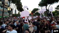 Protesters hold cartoon flamingos as they gather in in Tirana on June 10 to demonstrate against the construction of a luxury resort near a protected natural area on the southern coast of Albania.