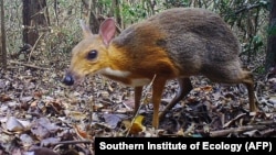 Southern Institute of Ecology (AFP) 