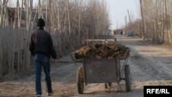 Соли 2015 дар водии Фарғона аз хонандагони мактаб тақозо шуда буд, ки пору ҷамъоварӣ кунанд