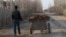 Во многих селах Узбекистана кизяк по-прежнему считается одним из самых востребованных видов топлива в зимний период.