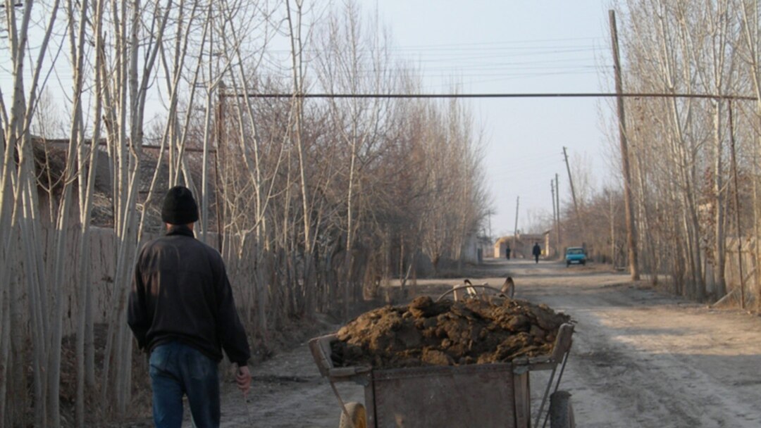 Kap dag jinsiy aloqa