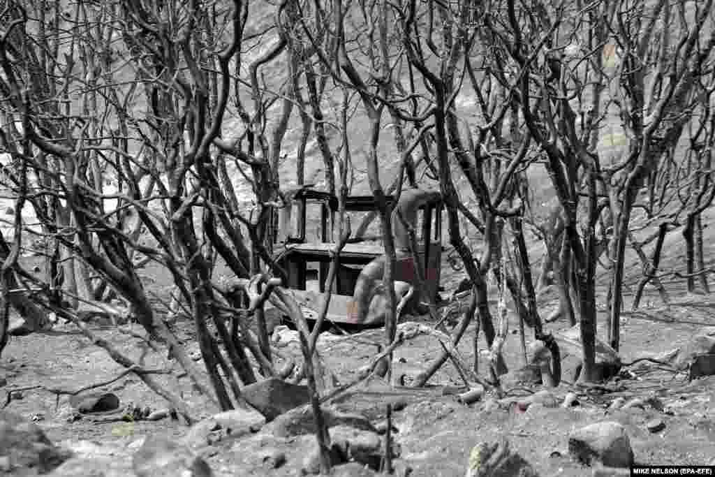 A vintage vehicle is seen through the devastation wrought by the Cranston Fire near Mountain Center, California. Several fires in California have left at least six people dead, destroyed hundreds of homes, burned thousands of acres, and caused the evacuation of at least 50,000. (EPA-EFE/Mike Nelson)