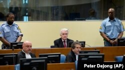 Radovan Karadžić pre izricanja presude u Hagu