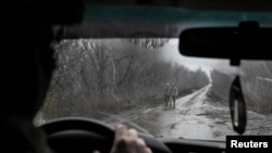 Украинские военные вблизи Покровска в конце ноября 2025 года