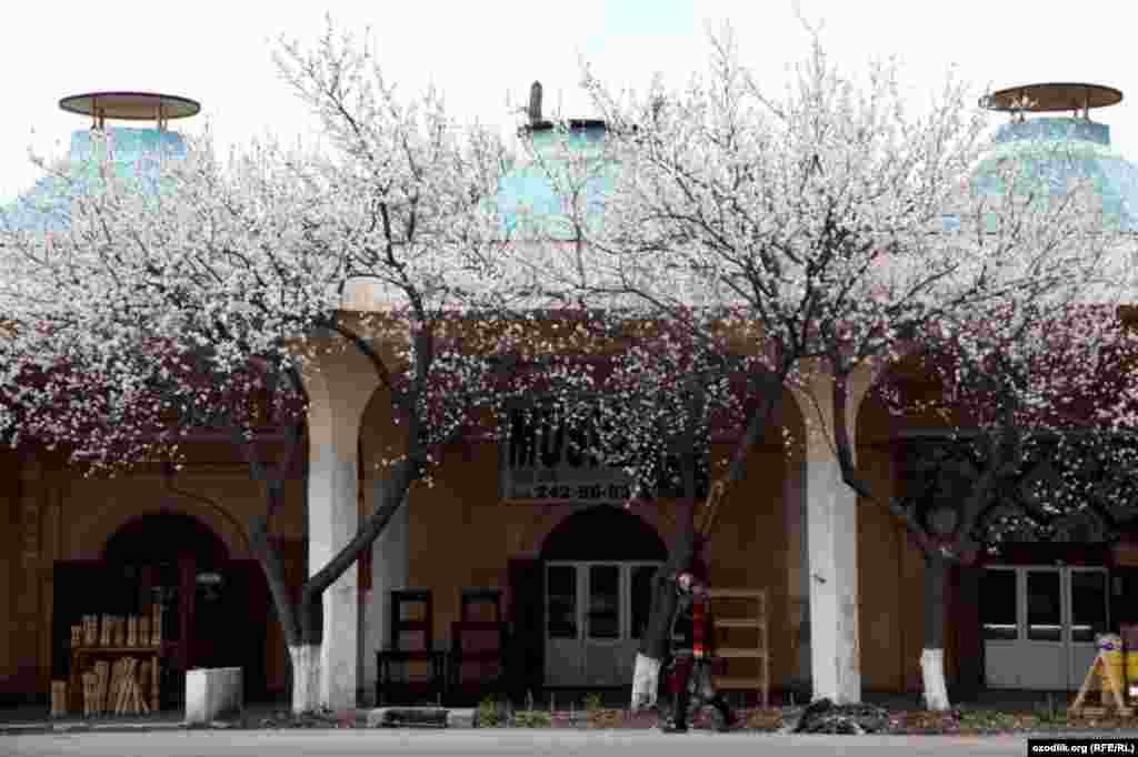Uzbekistan - spring in Tashkent, 