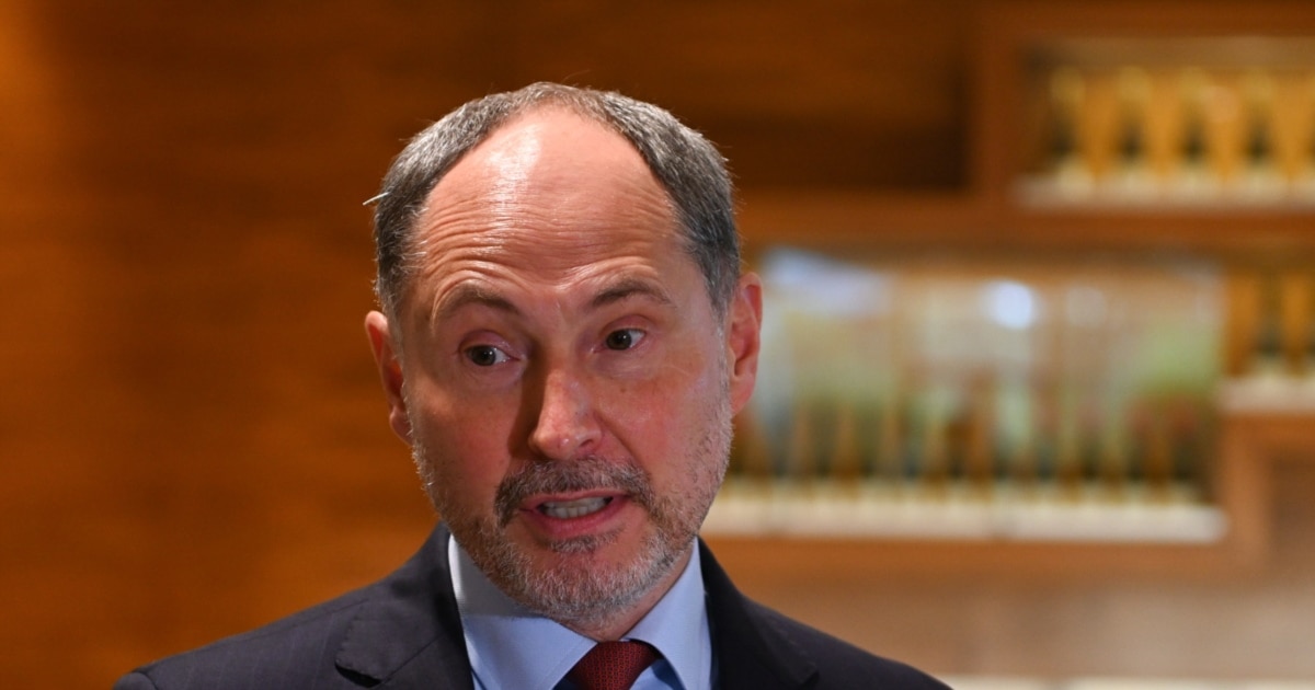 „ბატონო ელჩო, რატომ ხართ სპილო?“ ასეთ კითხვებს არ ვპასუხობთ - ევროკავშირის ელჩი „იმედს“