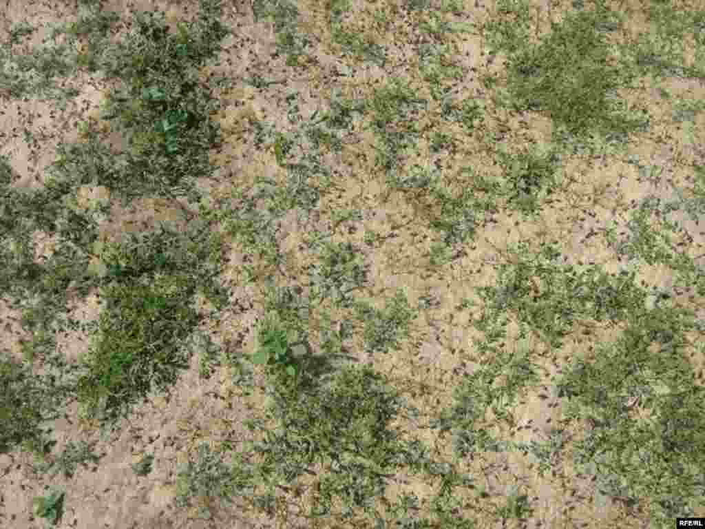 Ҳамлаи малах ба Хатлон #15