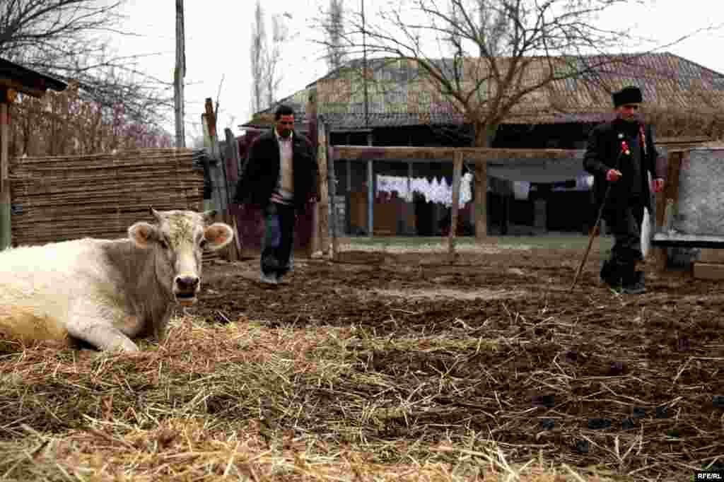Ağsunun Qaravəlli kəndi= #26