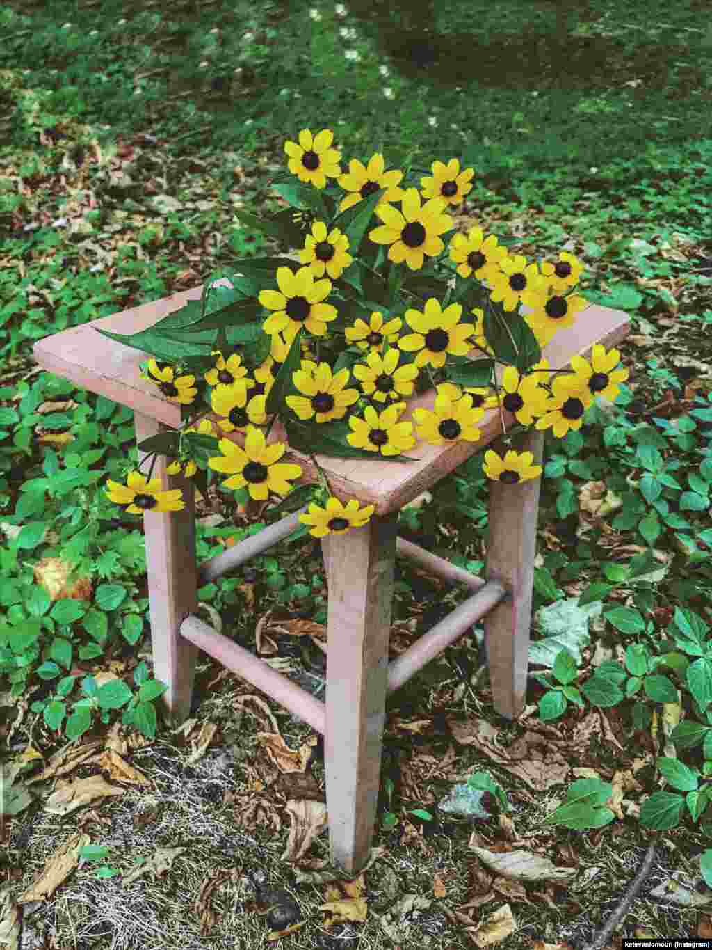 ketevanlomouri-ის სხვა ფოტოები ნახეთ მის ინსტაგრამის არხზე