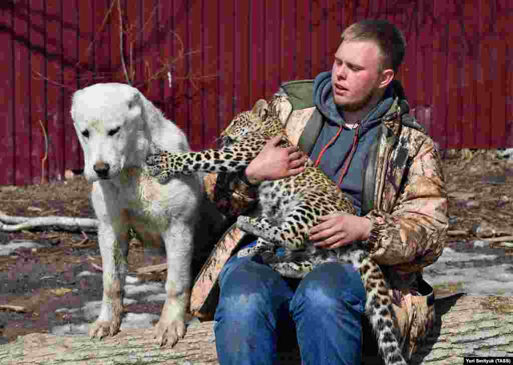 Позаботившийся о Милаше Виктор Агафонов говорит, что зоопарк не сожалеет о решении объединить в одном вольере маленькую Милашу с Эльзой, несмотря на довольно разные темпераменты животных.