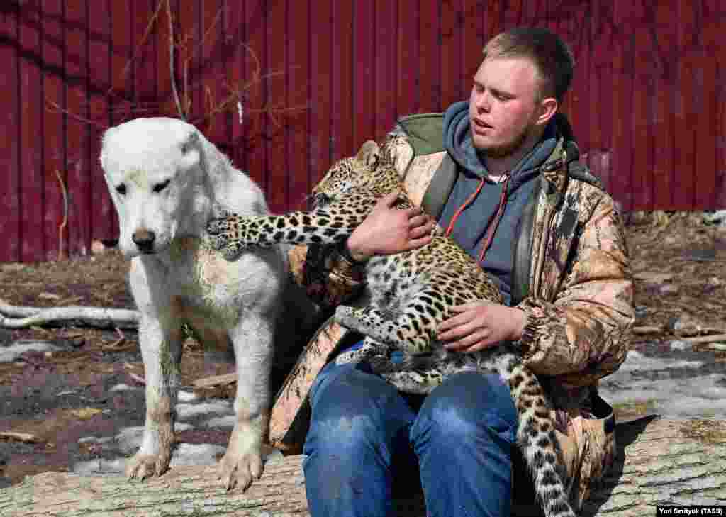 Milasha&#39;s keeper, Viktor Agafonov, says the zoo has no regrets over the decision to socialize little Milasha with Elza, despite the rather different temperaments of the two animals.&nbsp;