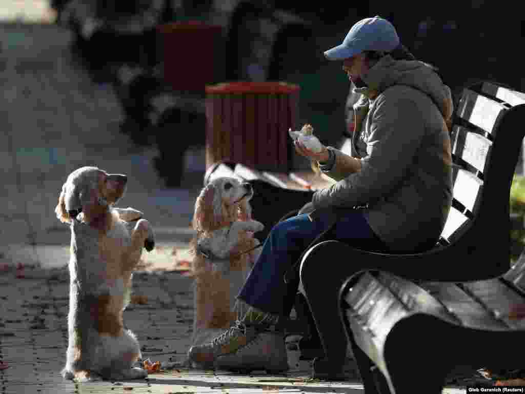A woman eats a sandwich in a park as her dogs ask her for food on a sunny but cold day in central Kyiv (Reuters/Gleb Garanich)