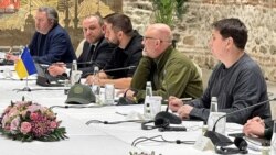 Украина делегациясе, уңда Михаил Подоляк