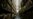 16x9 Image