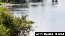 Рака. Ілюстрацыйнае фота