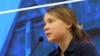 Armenia - Swedish climate activist Greta Thunberg speaks during a conference in Yerevan, November 14, 2024.