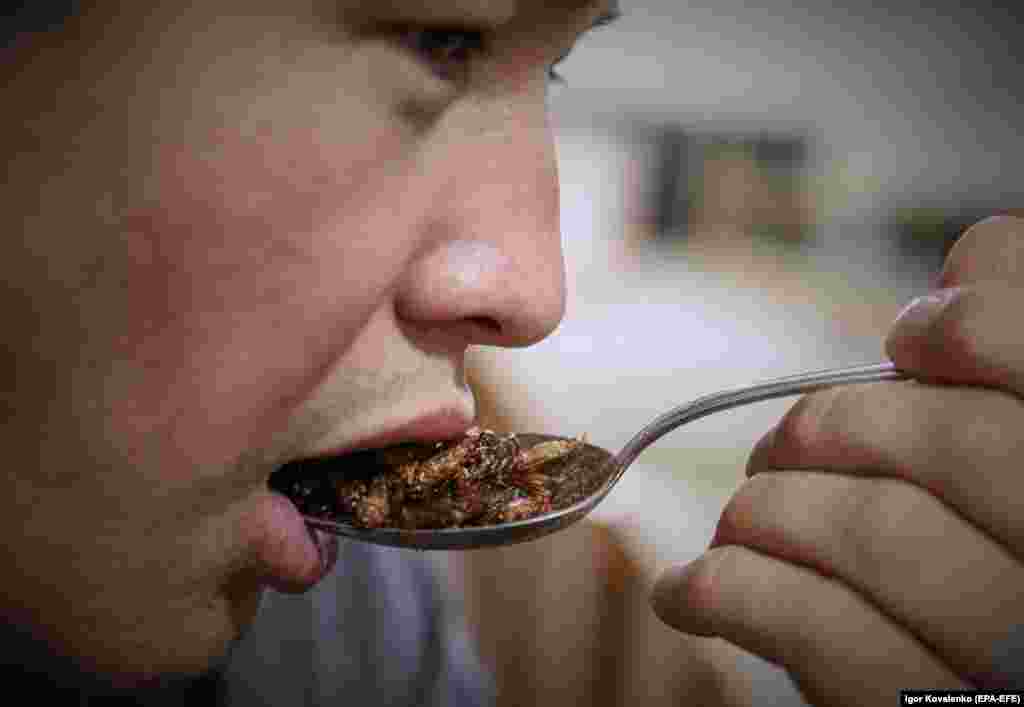 A man tests baked Orthoptera crickets at the cricket farm of Kyrgyz entrepreneur Adyl Gaparov in Bishkek. From 4 kilograms of crickets, 1 kilogram of protein meal is obtained. Gaparov sells it for about 70 euros for 1 kilogram. The UN warns that by 2050 the world&#39;s inhabitants will face an acute shortage of protein foods.