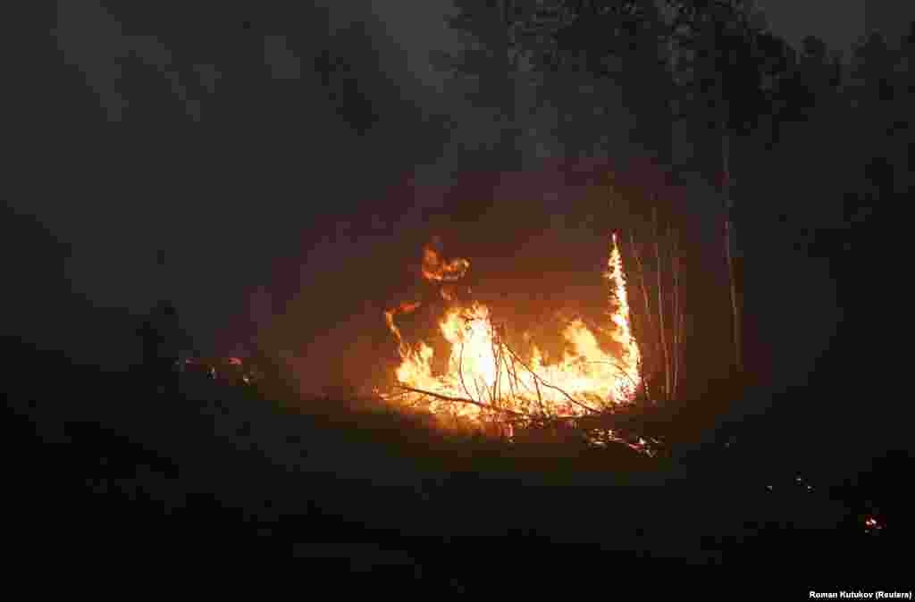 Incendiu de pădure în satul Magaras.