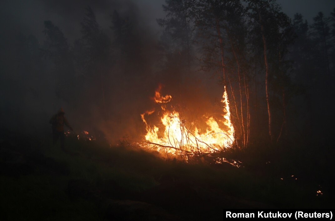 Soul of Siberia　Wild Siberia fired f7picFpQY6SVrsn2xJTZZH.jpeg