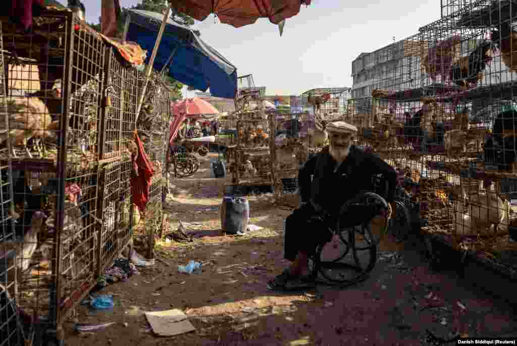 A man selling chickens and ducks awaits customers at a market along a road in Kabul on July 4.
